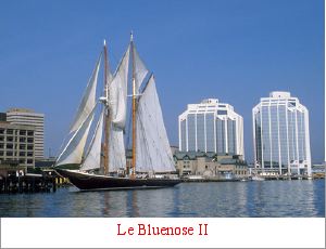 Bluenose