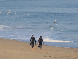 Surfers sur la plage de Contis dans les Landes