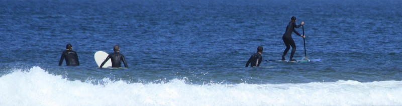 Surf à Contis