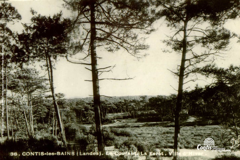 Contis, La Ville d'Hiver avant guerre, vue depuis "Lous Seurrots"