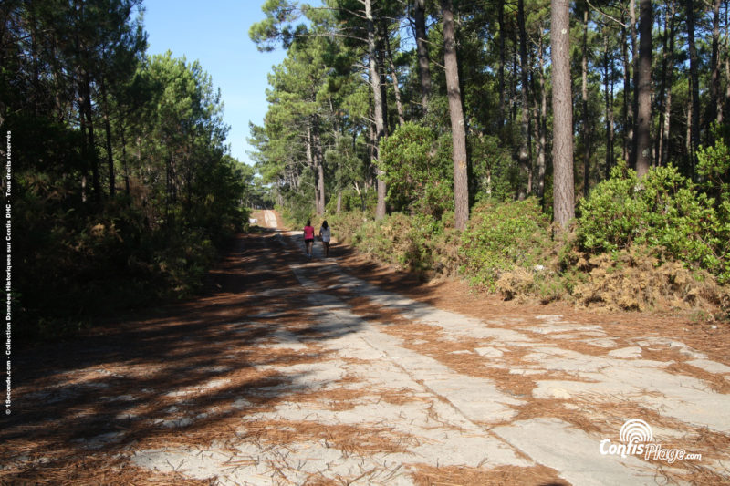 La voie d'accès à la Ba03 localement nommée "La piste des Allemands". ici voie principale + voie de croisement section 3/4.